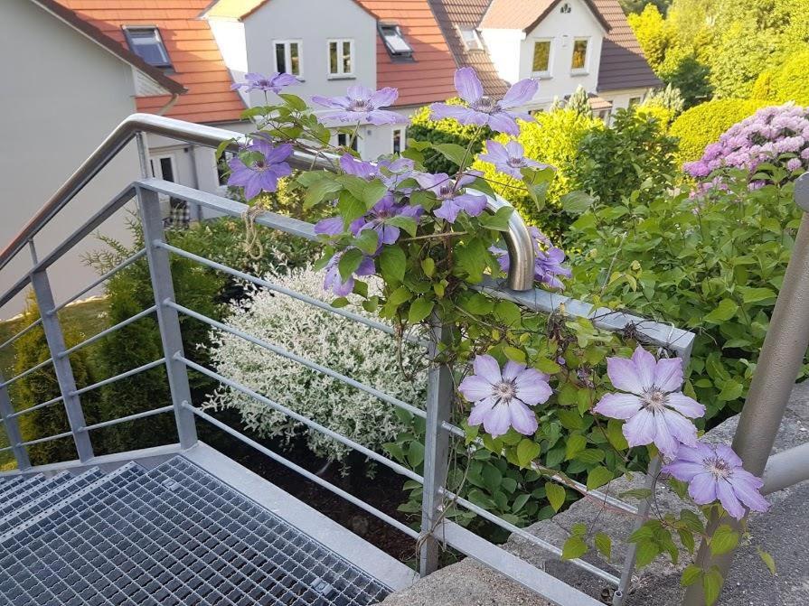 Ferienwohnung Frieda Flensburg Ngoại thất bức ảnh